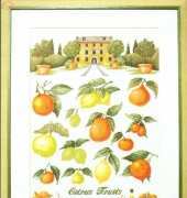 Permin of Copenhagen 70-8460 - Citrus Sampler