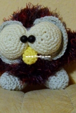Crazy owl