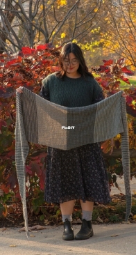 Abby's Scarf by Bridget Zhou  - Free