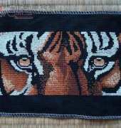 Tiger Eyes from True Colors BCL-10076 Eye of the Tiger XSD