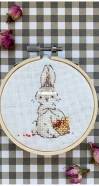 Cute bunny