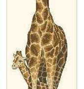 Dimensions 13665 Giraffe Mother and Baby