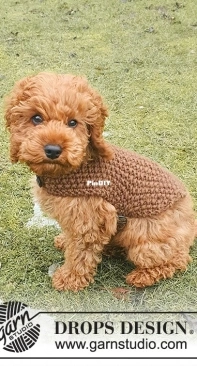 Drops Design - Best Day Ever Coat Dog Sweater - Spanish - Free