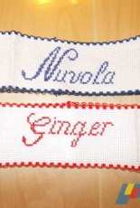 Dogs collars