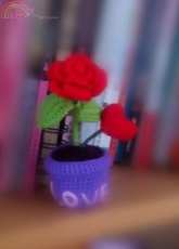 rose