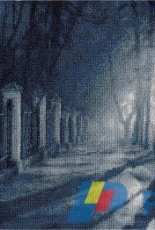 Panna GM-1231 - Shadows
