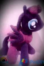 pony