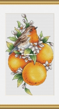 Birdie with Tangerines by Svetlana Sichkar XSD