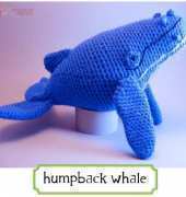 Edafedd - Aeron Aanstoos - Humpback Whale