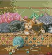 Dimensions - The Gold Collection 35184 Kitty Litter XSD