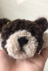 Hairy bear