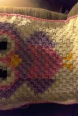 C2C Owl