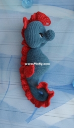 Seahorse