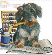 Panna D-0296 Accountant