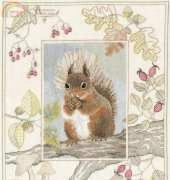 Derwentwater designes-Red Squirrel