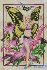 HAED HAEAS 105 The Beauty by Alison Spokes