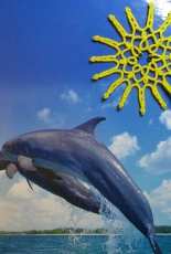 tatting sun