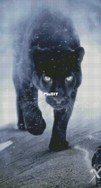 Chimera - Kindred Spirit, Panther
