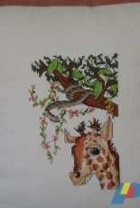 giraffa