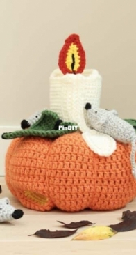 Gek op Haken - Marjan van der Leer - Mouse on pumpkin - Muizen op Pompoen - Dutch