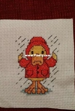 Duck in the rain 2