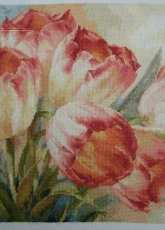 Alisa. Tulips