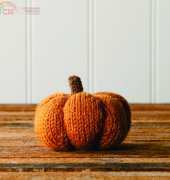 Spice Pumpkin by Hannah Maier-Free
