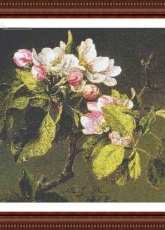 Classic Cross Stitch - FR 171 - Apple Blossom
