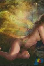 HAED HAEDRZ 104 Golden Wings by Drazenka Kimpel