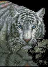 Dimensions 70-35289 - Into the Light