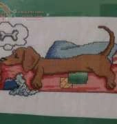 sleeping dog