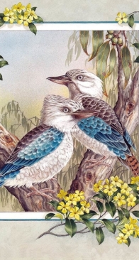 Blue-winged Kookaburra by Interesting Boutique