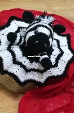 Zebra baby