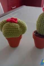 L uncinetto di Simo e Isa -   Succulent plants - Italian - Free