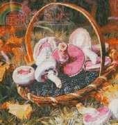 Cross Stitch Bazaar - A Basket of Wild Mushrooms