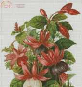 FIORI 77