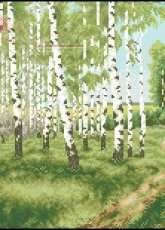Zolotoe Runo VM-008 White birches xsd + pcs