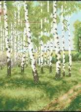 Zolotoe Runo VM-008 White birches xsd + pcs
