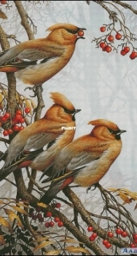 Aladdin - Birds on the Tree by Tatiana Kholodenko