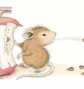 HAED HOM1068 Apple Seeds