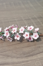 Cherry Blossom