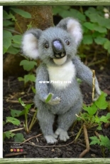 Julia Kalmykova  - Koala - Russian