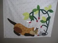 cat and mouse