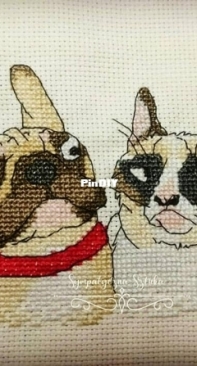 Cat & dog :)