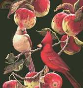 HAED HAELAK 108 Shades of Red by Lane Kendrick XSD