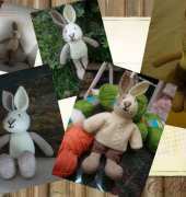 Bunny boy!!