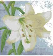 A Subtle Beauty by Maria Diaz from Cross Stitch Collection 223