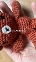 Brown Teddy bear