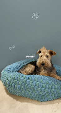 Yarnsmiths - Wool Warehouse - Pet Cocoon - Free