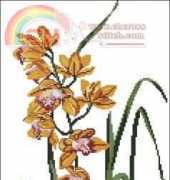 Eva Rosenstand 14-156 Yellow Orchid